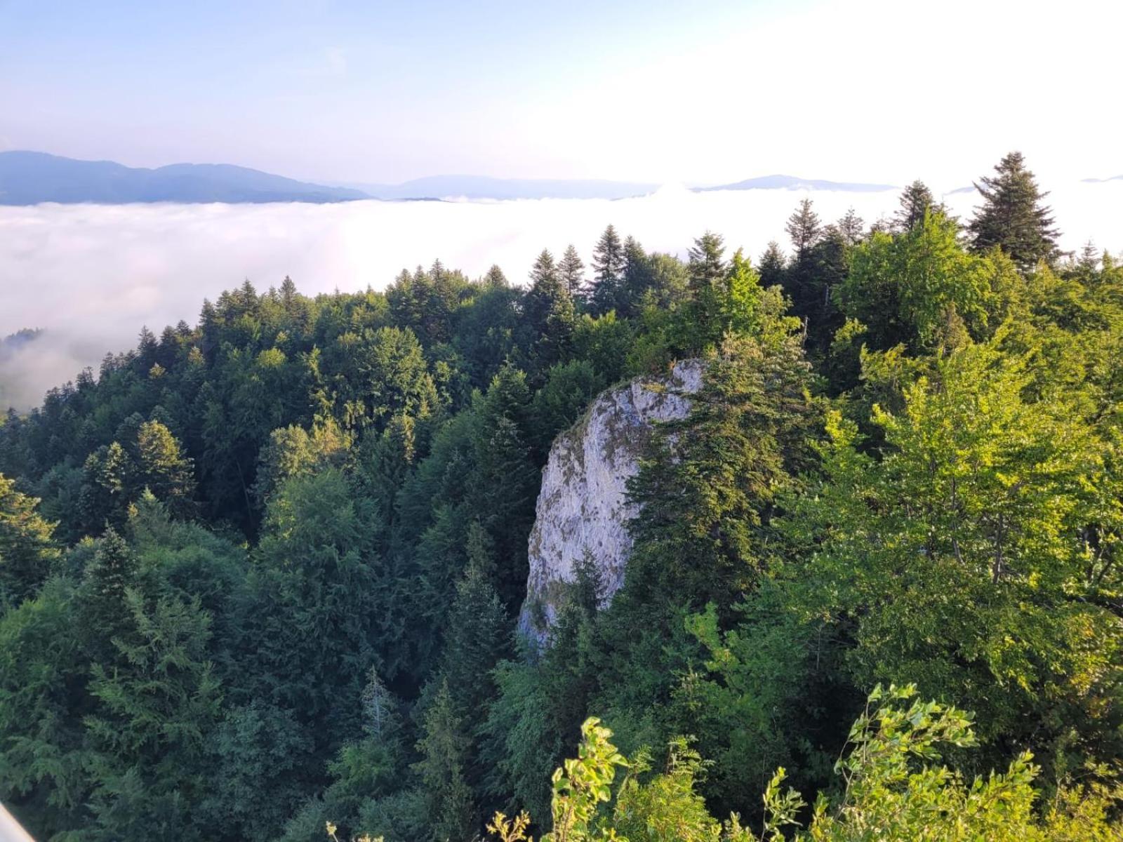 Szczytowisko Villa Grywald Kültér fotó